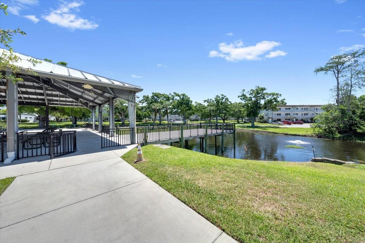 2401 FRANCISCAN DR #39, CLEARWATER, FL — photo 23