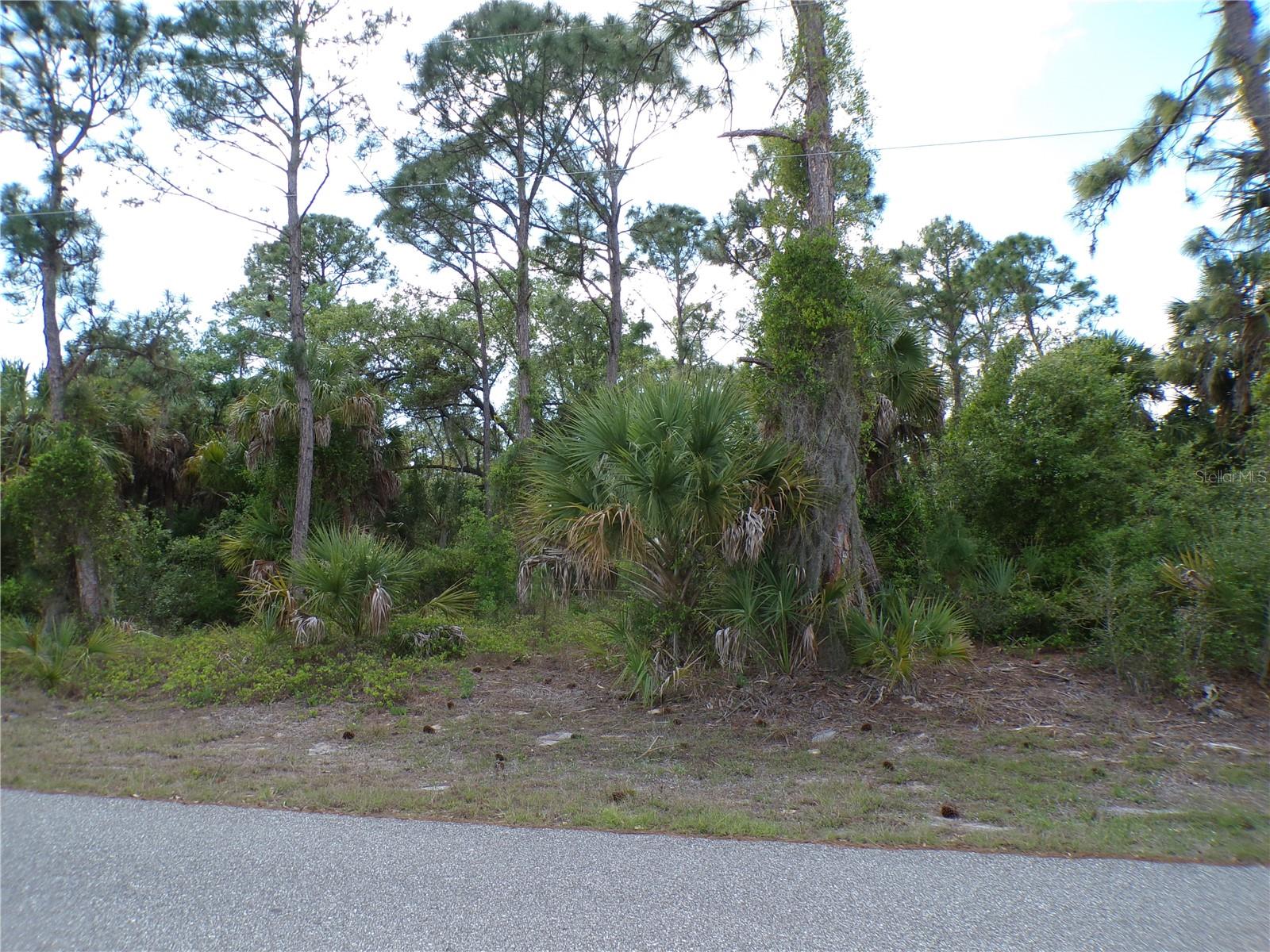 55 JUSTINE ST, PORT CHARLOTTE, FL — photo 5