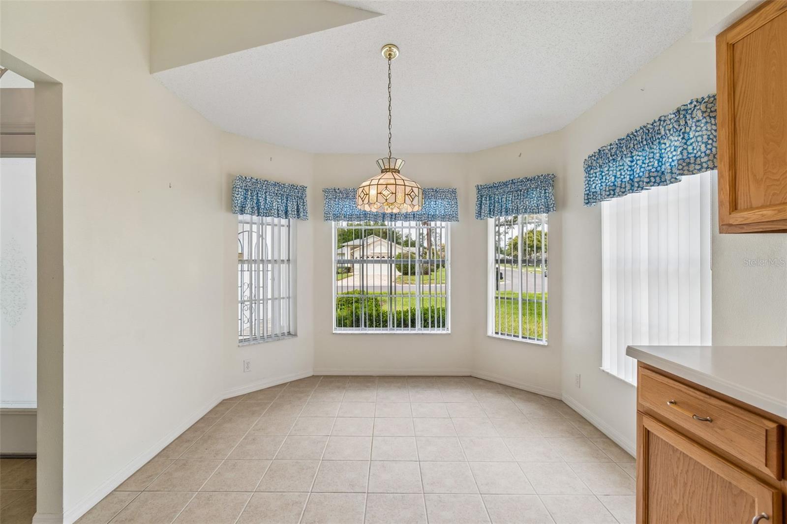 18452 FAIRWAY GREEN DR, HUDSON, FL — photo 7