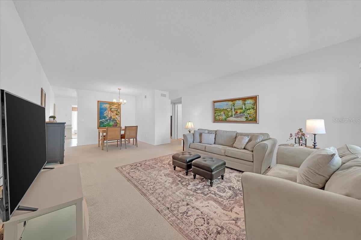 2401 FRANCISCAN DR #41, CLEARWATER, FL — photo 3