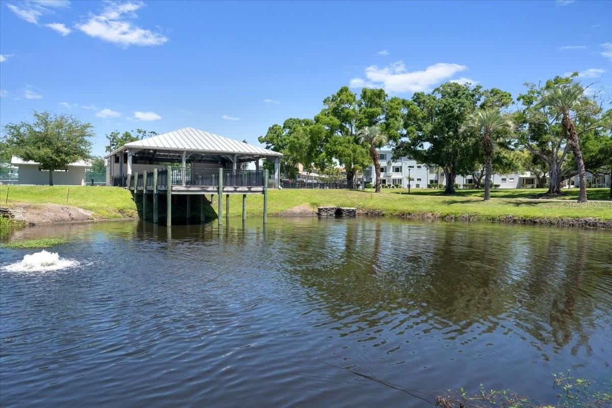 2401 FRANCISCAN DR #41, CLEARWATER, FL — photo 23