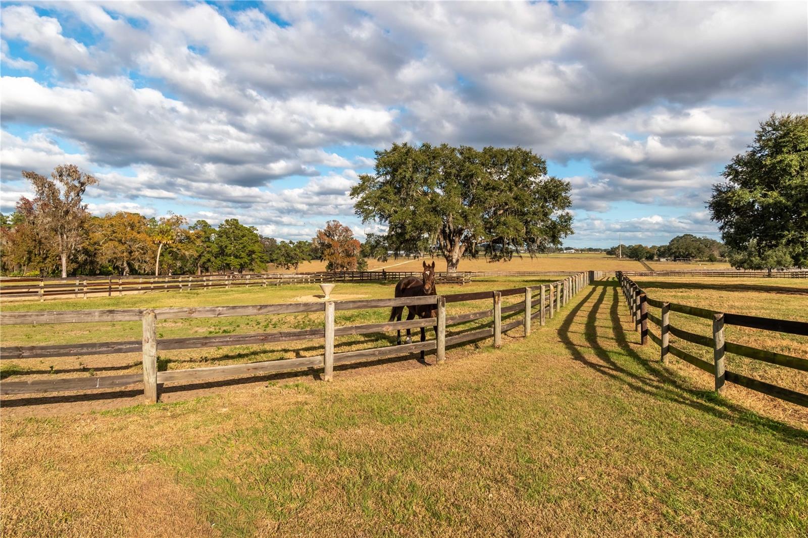 5100 W HWY 329, REDDICK, FL — photo 28