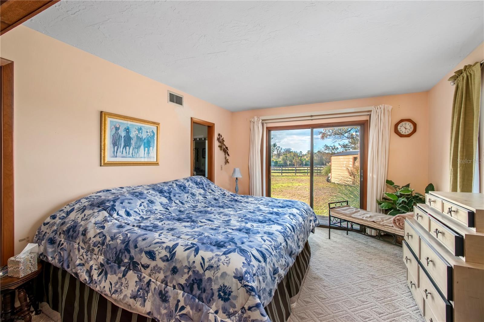 5100 W HWY 329, REDDICK, FL — photo 53