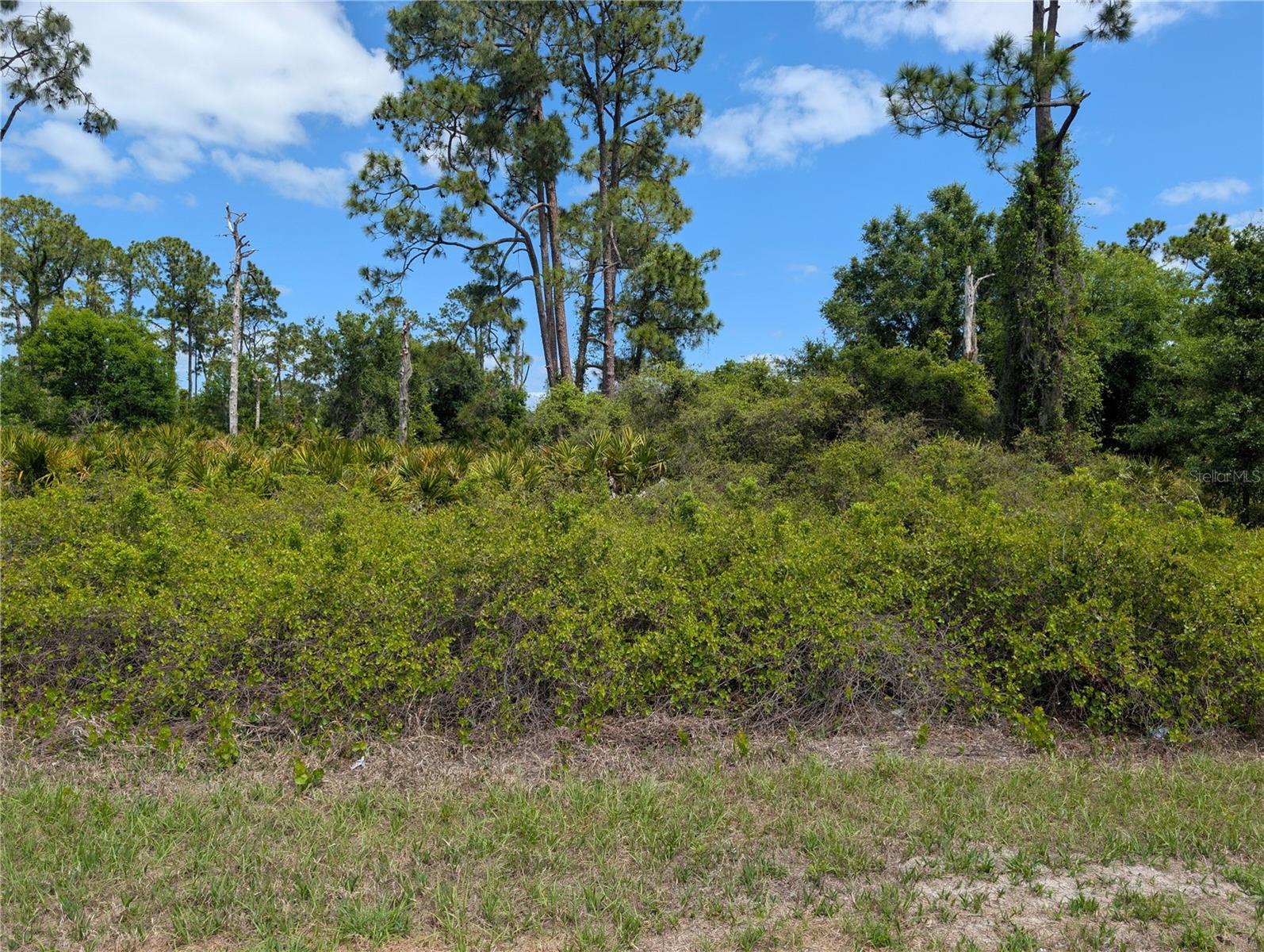 784 WASHINGTON BLVD NE, LAKE PLACID, FL — photo 2