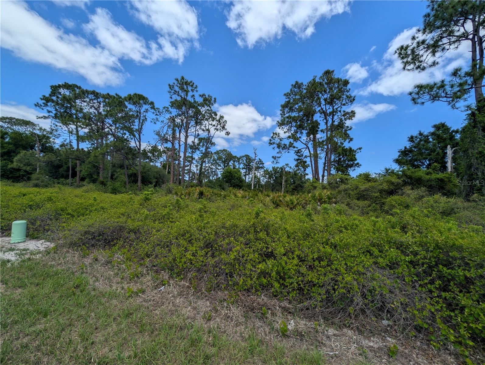 784 WASHINGTON BLVD NE, LAKE PLACID, FL — photo 4