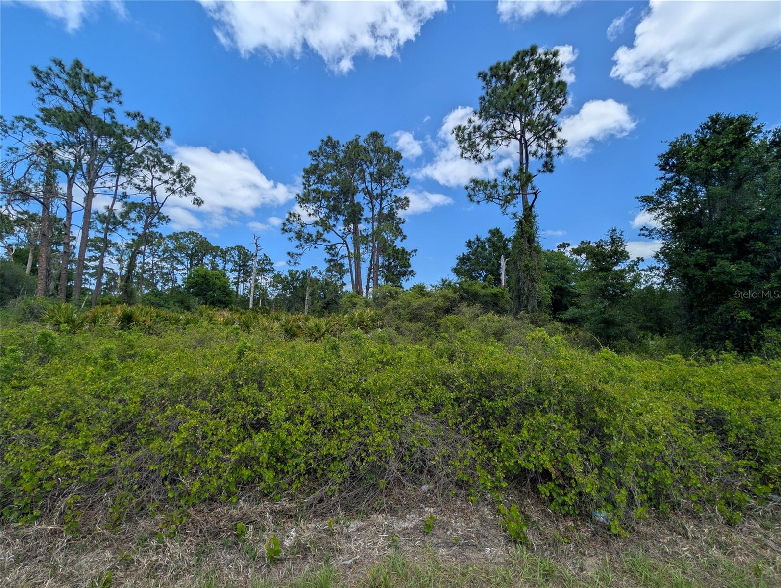 784 WASHINGTON BLVD NE, LAKE PLACID, FL — photo 5
