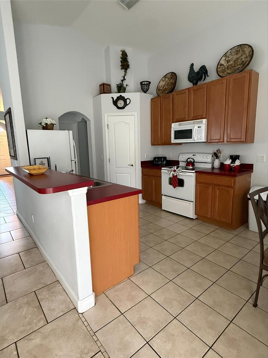 742 OLD BRIDGE CIR, DAVENPORT, FL — photo 6