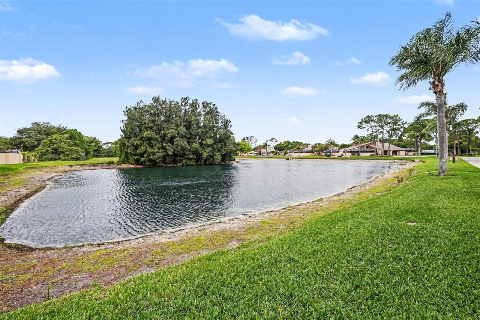4805 UMBER CT, TAMPA, FL — photo 27