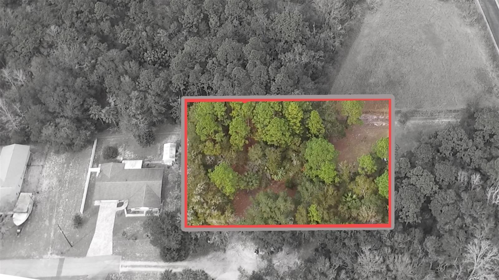 725 NE 13TH TER, CRYSTAL RIVER, FL — photo 2