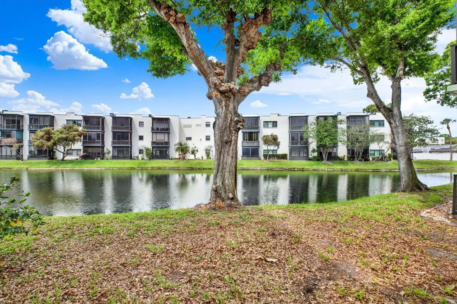 5980 TERRACE PARK DR N #309, ST PETERSBURG, FL — photo 24