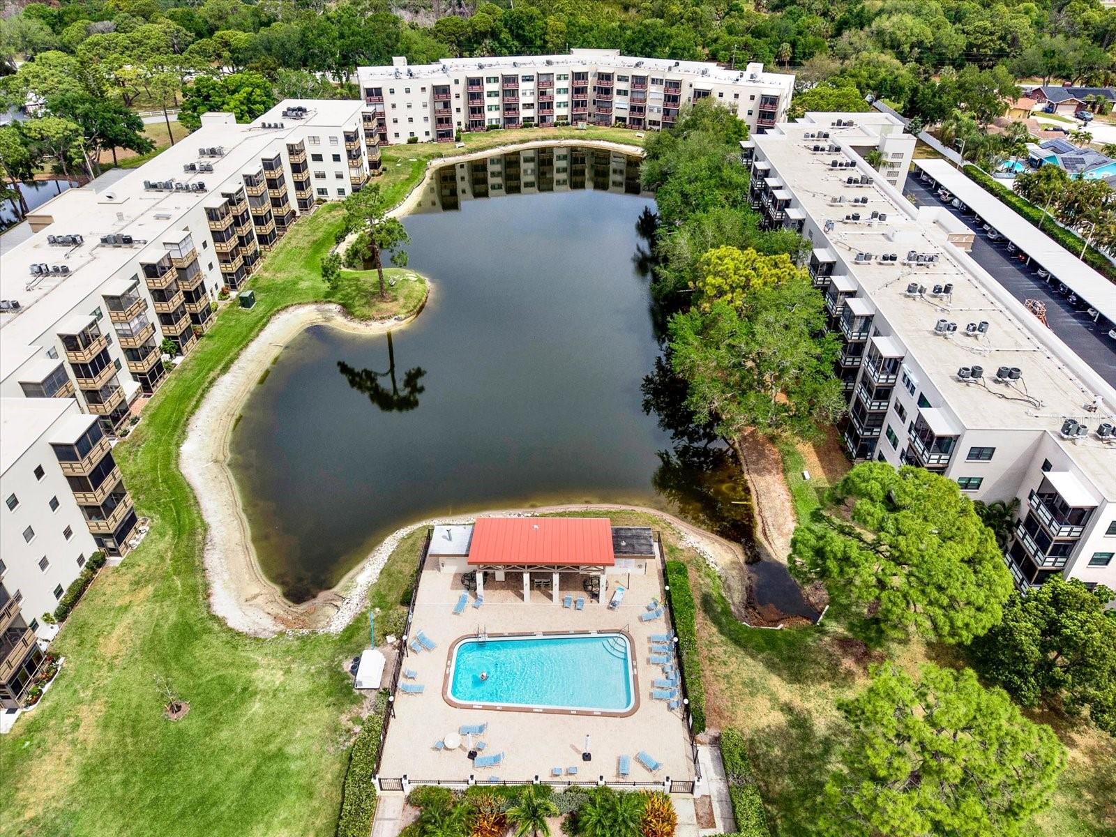 5980 TERRACE PARK DR N #309, ST PETERSBURG, FL — photo 33