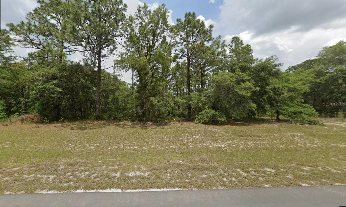 0 138TH ST ST #Lot 9, OCALA, FL