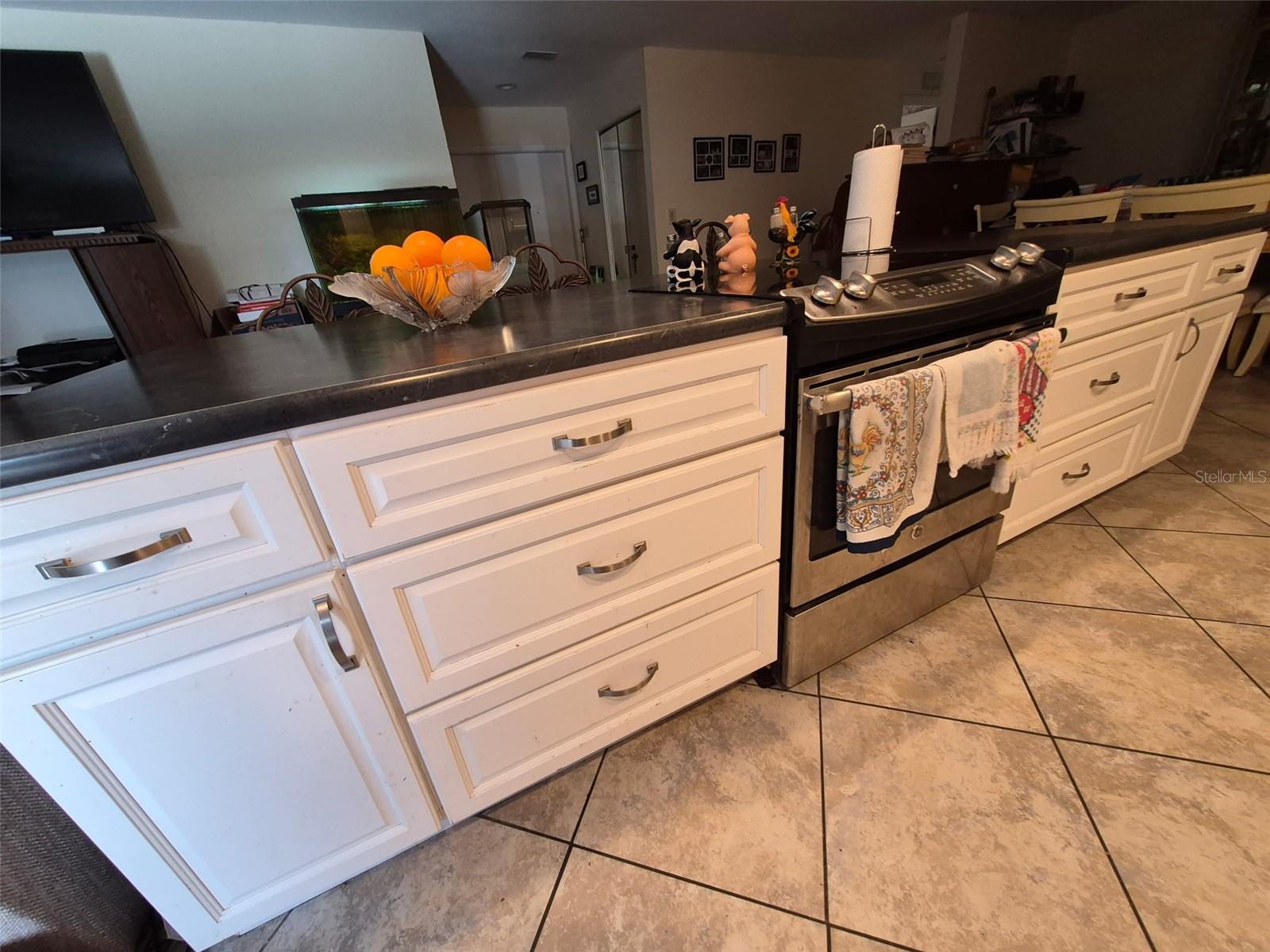 11738 96TH PL, SEMINOLE, FL — photo 10