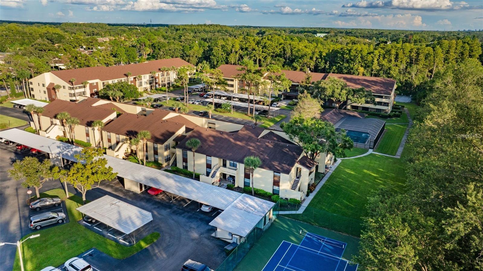 13608 S VILLAGE DR #7204, TAMPA, FL — photo 24