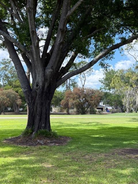 400 S HOWARD AVE, LAKELAND, FL — photo 41