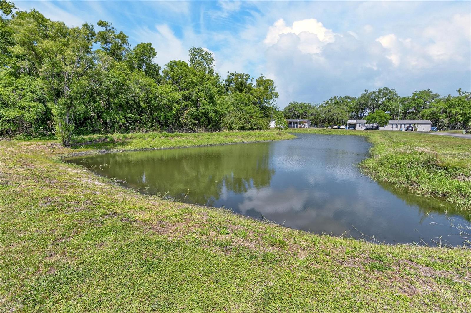 9150 WOOD TERRACE DR, TAMPA, FL — photo 51