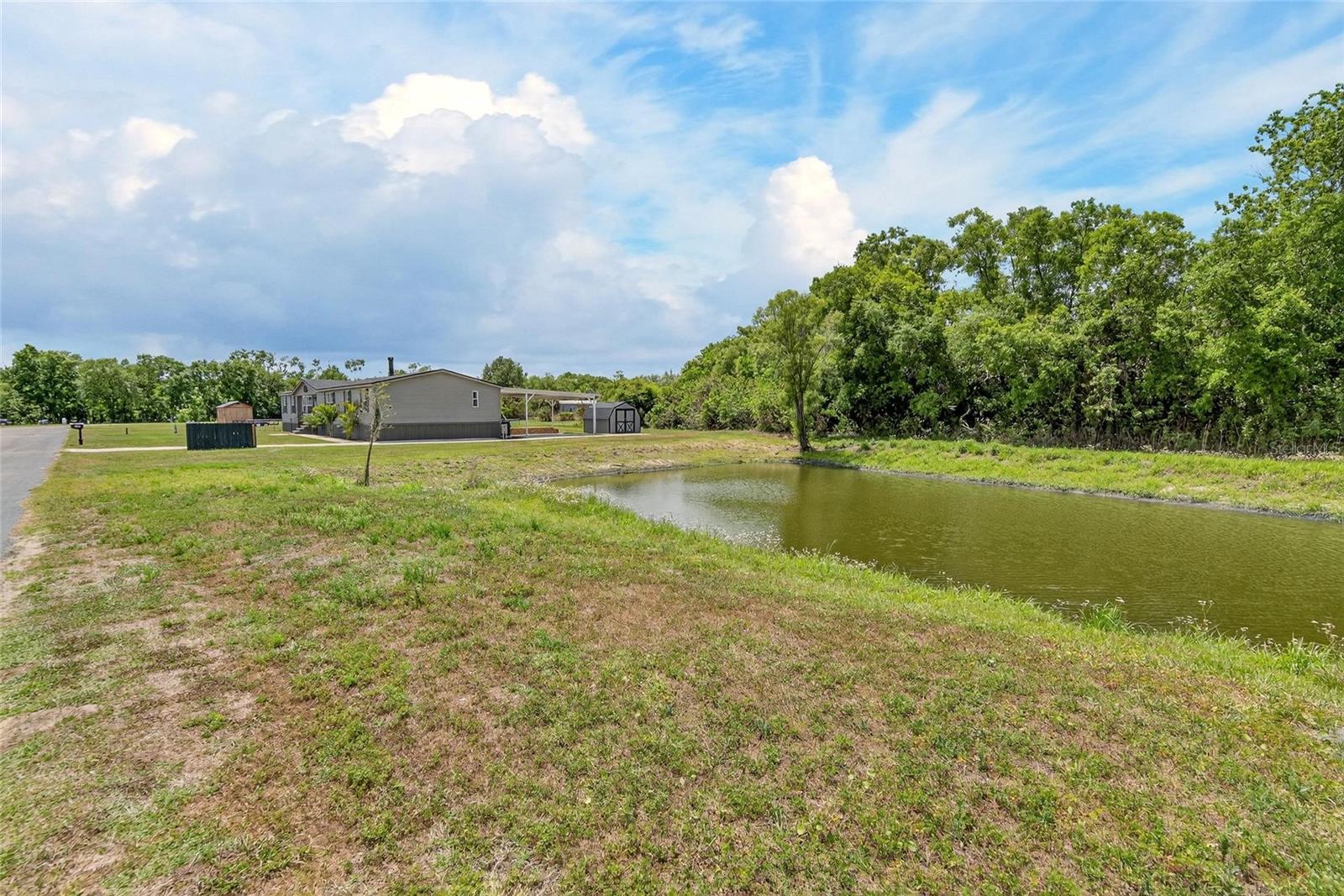 9150 WOOD TERRACE DR, TAMPA, FL — photo 52