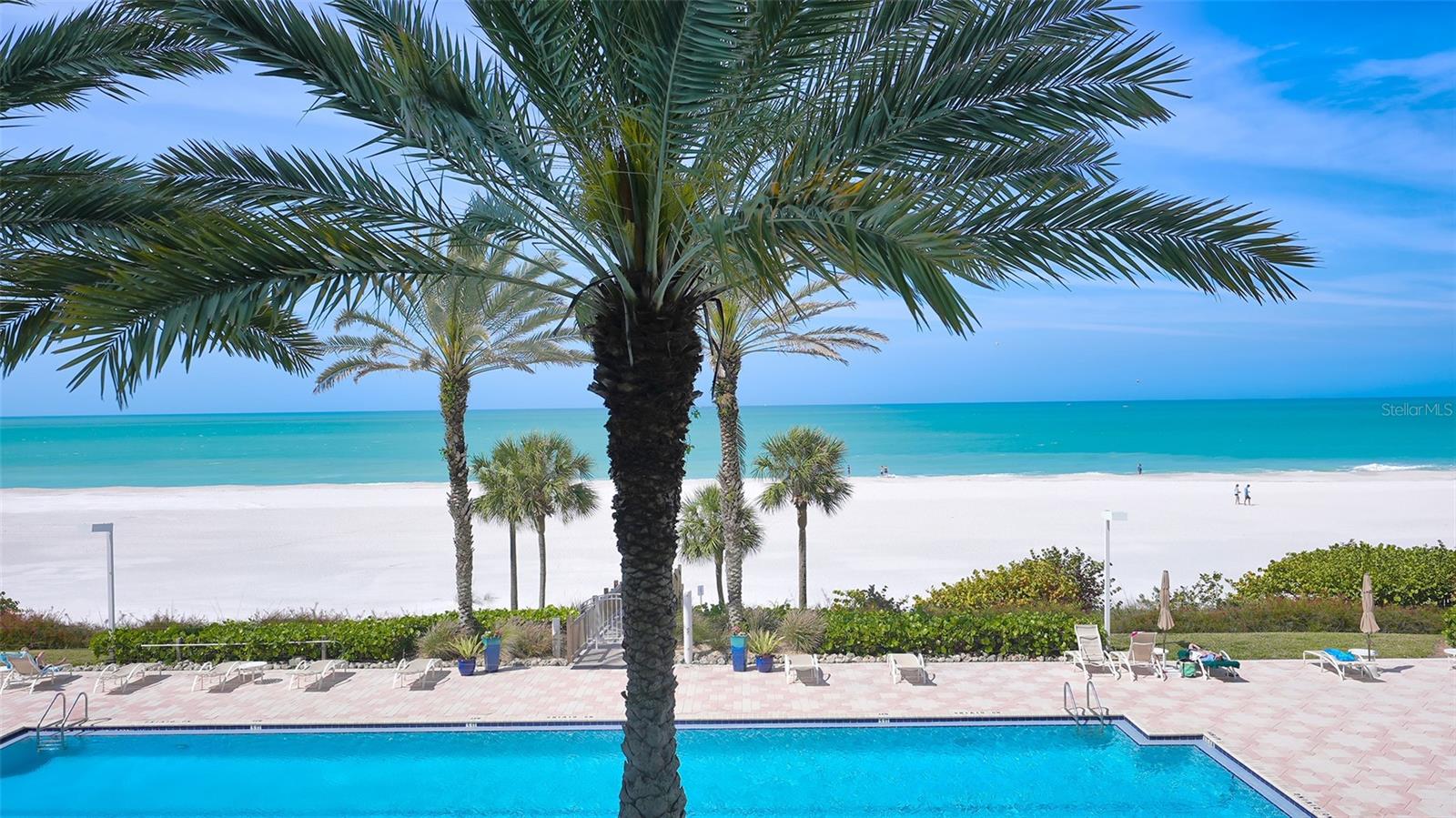 1800 BENJAMIN FRANKLIN DR #B308, SARASOTA, FL — photo 43