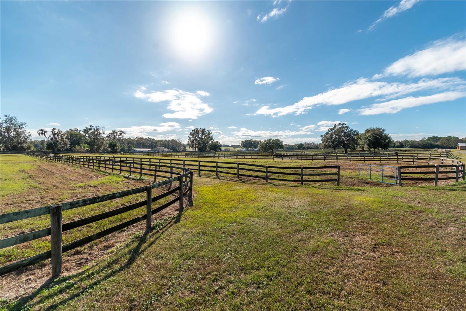 5100 W HWY 329, REDDICK, FL — photo 12