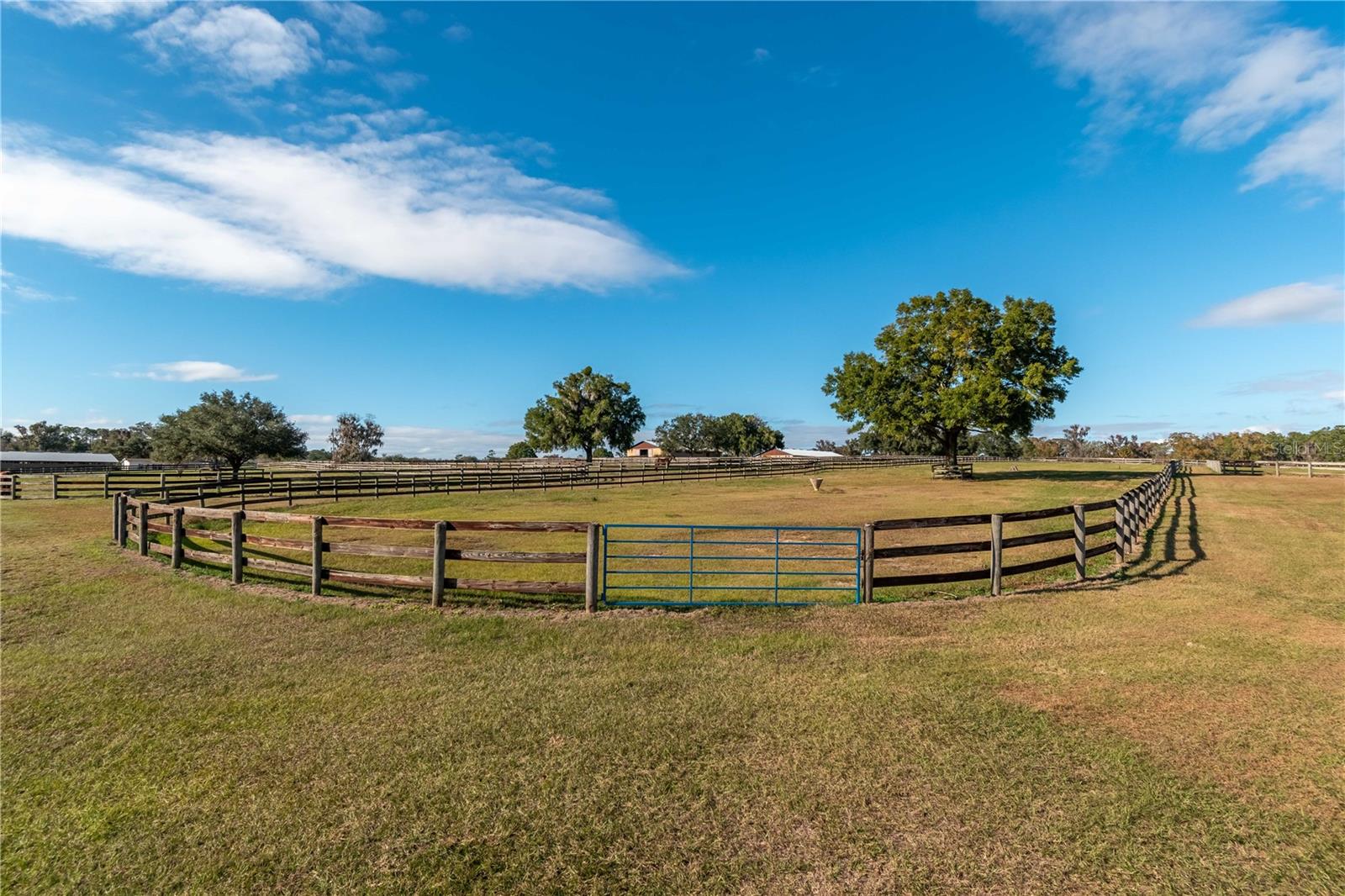 5100 W HWY 329, REDDICK, FL — photo 13