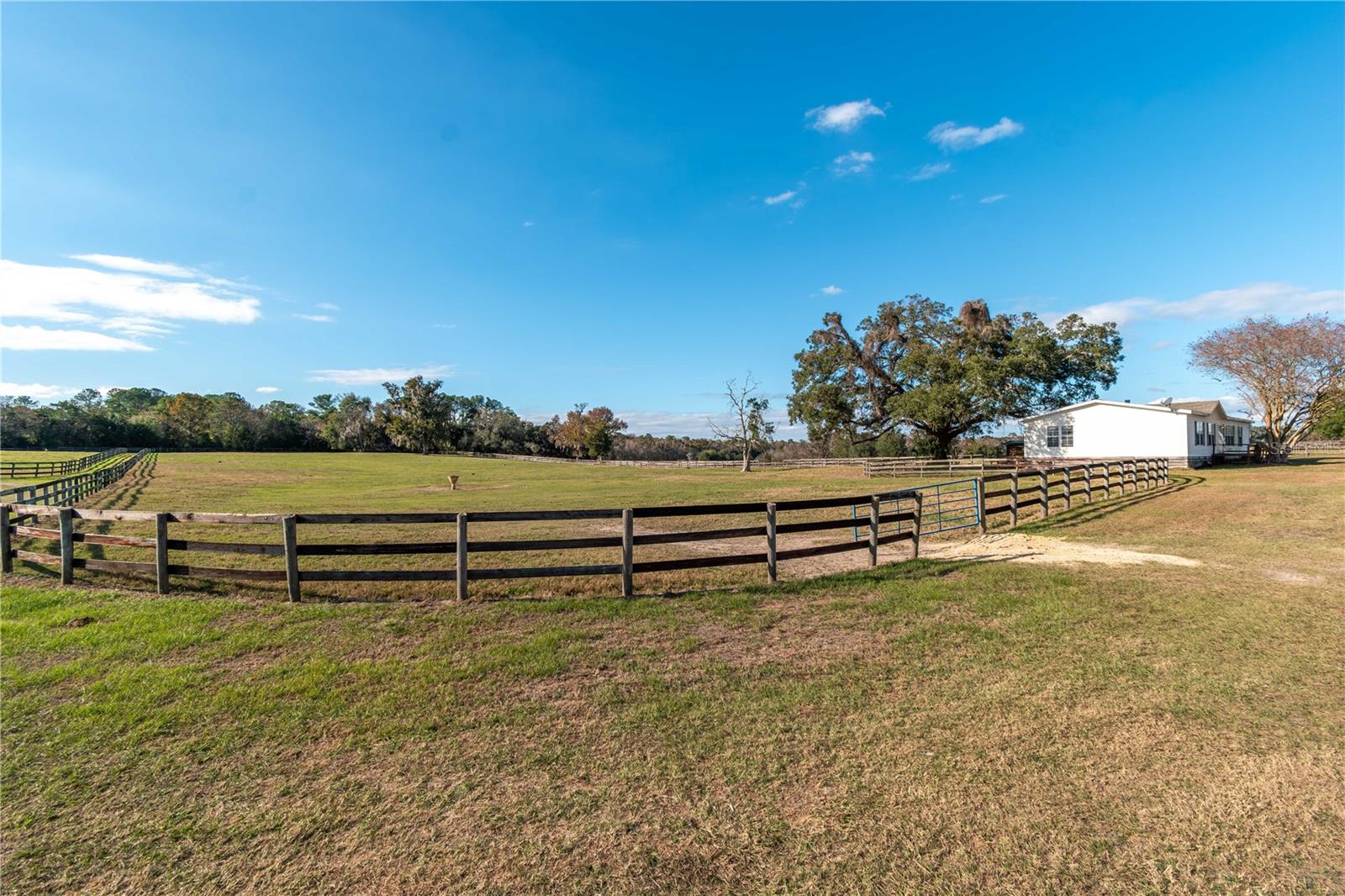 5100 W HWY 329, REDDICK, FL — photo 14
