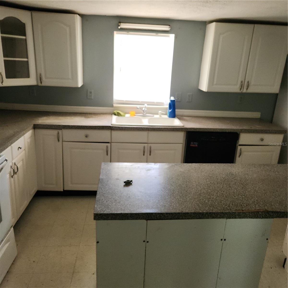 26739 FOAMFLOWER BLVD, WESLEY CHAPEL, FL — photo 4