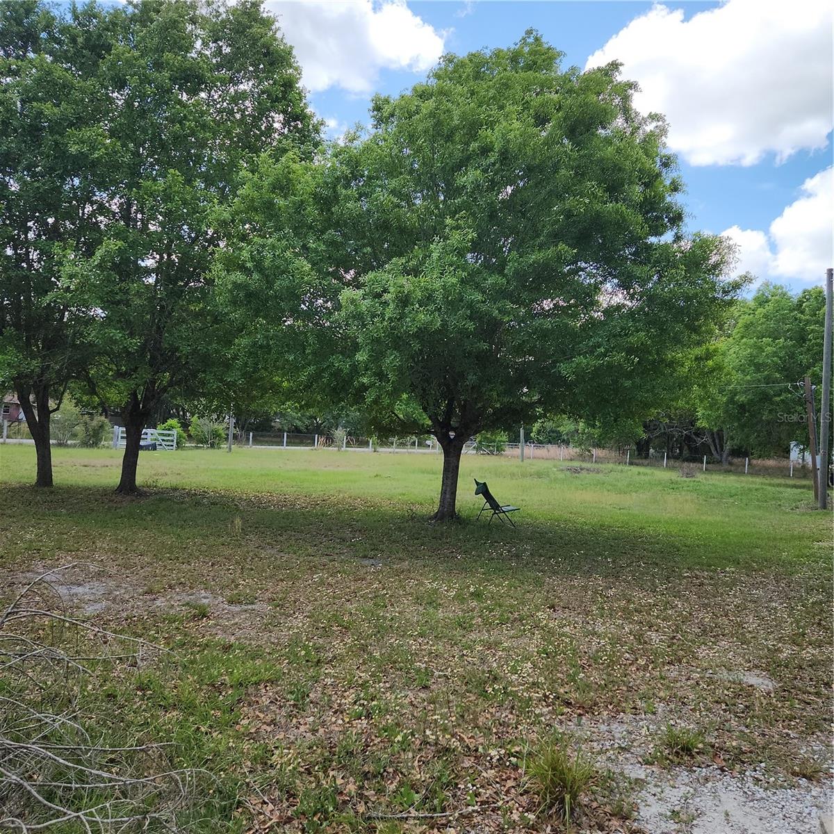 26739 FOAMFLOWER BLVD, WESLEY CHAPEL, FL — photo 13