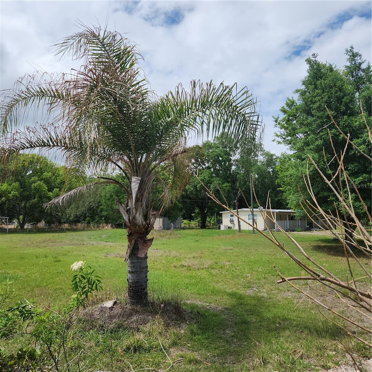 26739 FOAMFLOWER BLVD, WESLEY CHAPEL, FL — photo 14