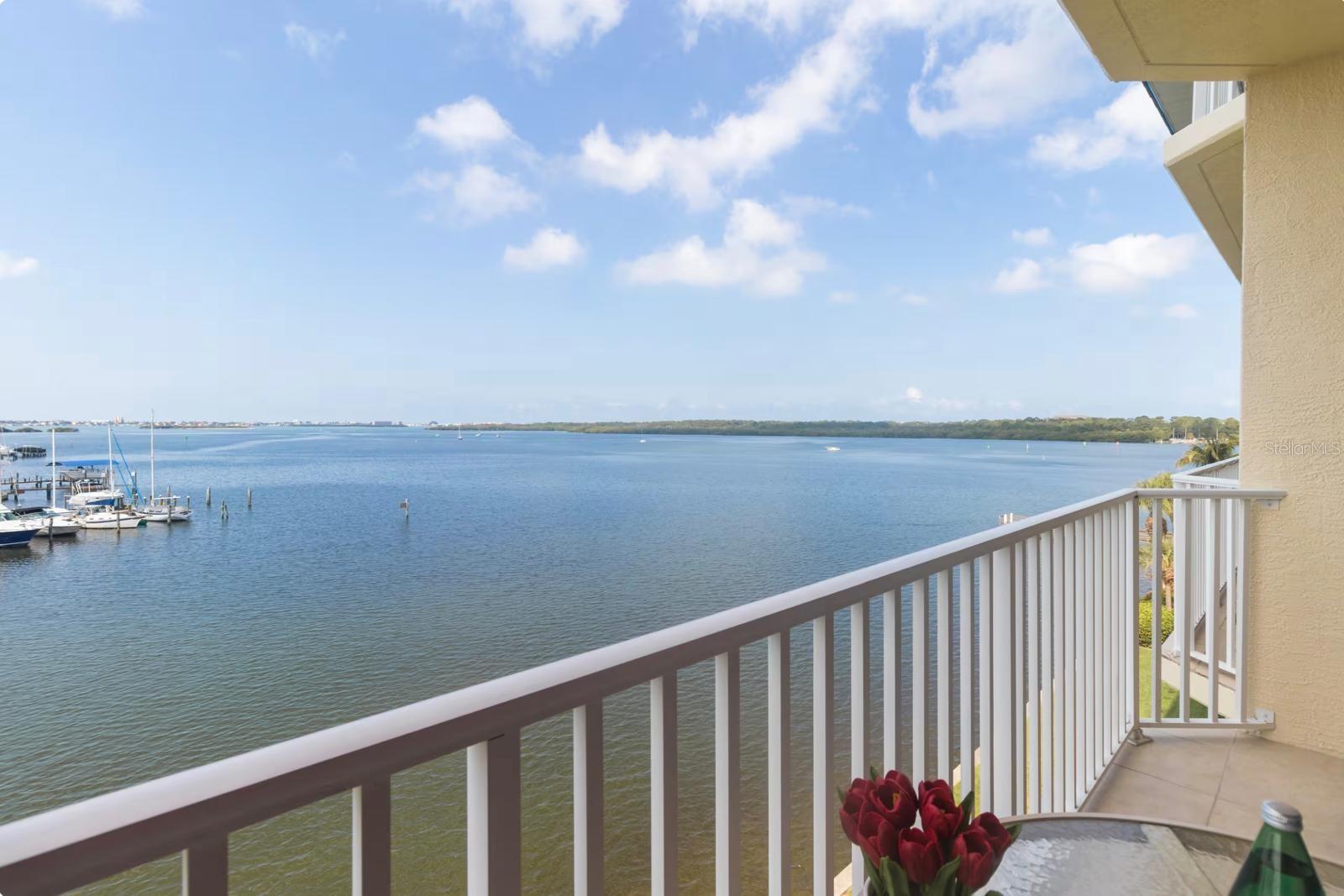 8800 BAY PINES BLVD #320, ST PETERSBURG, FL — photo 8