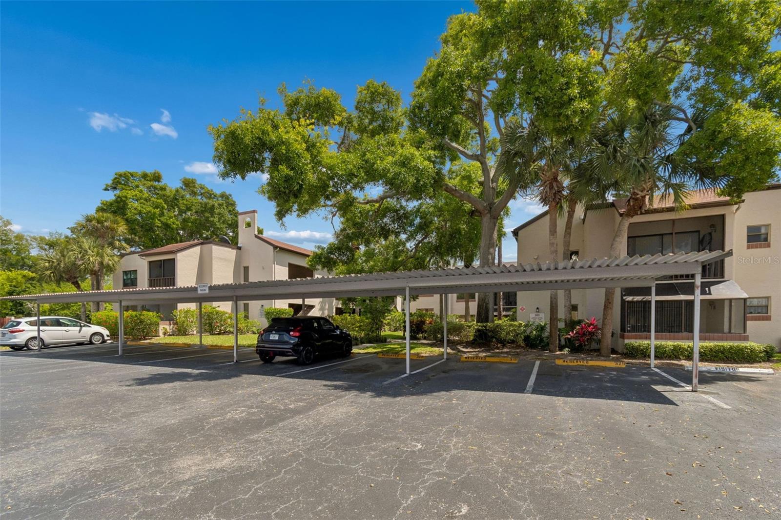 2971 ESTANCIA BLVD #313, CLEARWATER, FL — photo 32