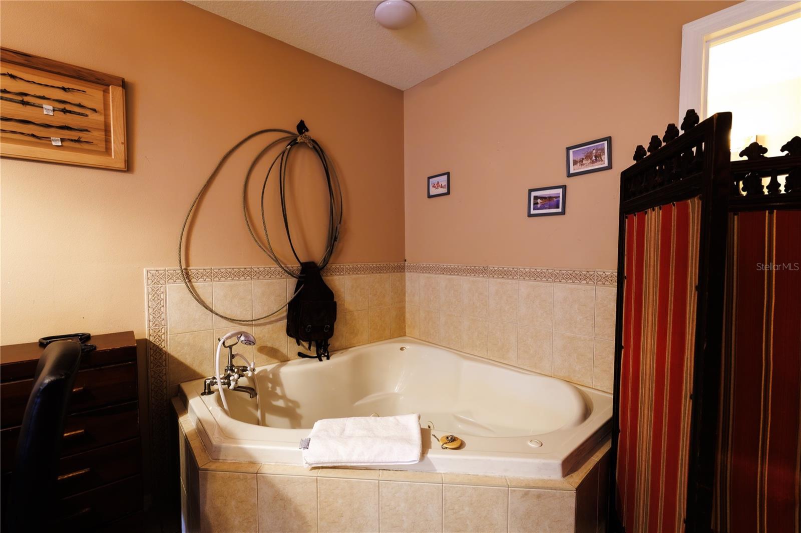 215 E FRENCH AVE, ORANGE CITY, FL — photo 82