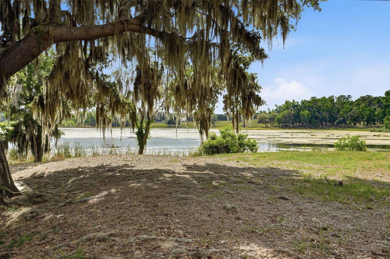 18610 TOWNSEND HOUSE RD, DADE CITY, FL — photo 10
