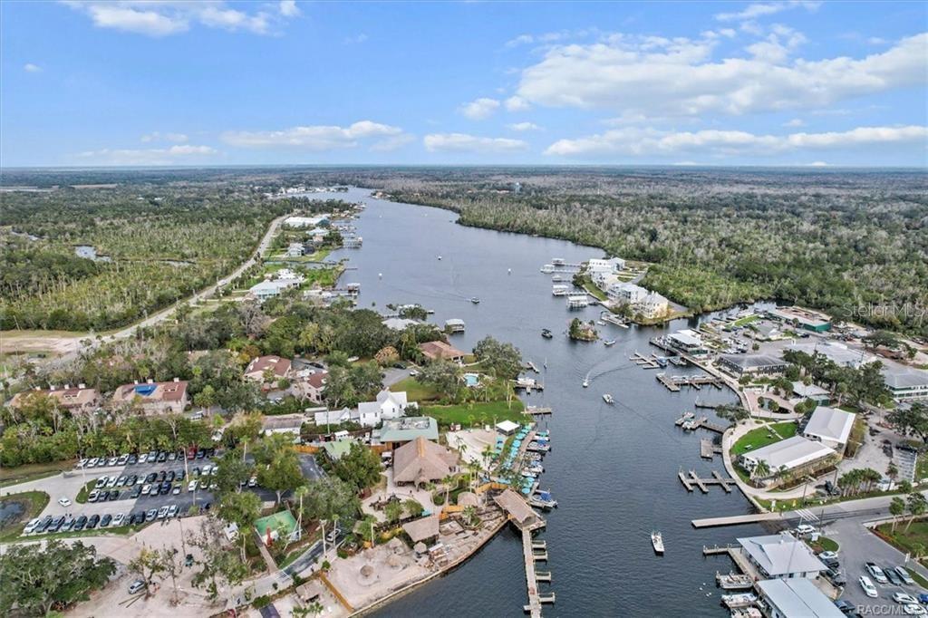 10460 W NEW YORK ST, HOMOSASSA, FL — photo 3