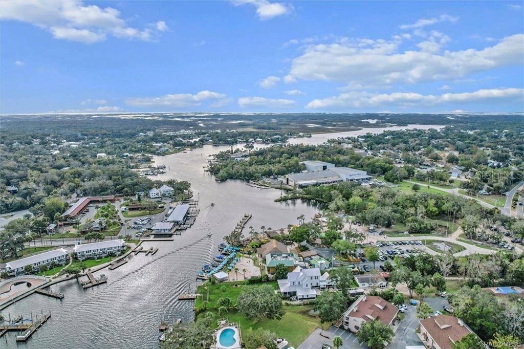 10460 W NEW YORK ST, HOMOSASSA, FL — photo 4
