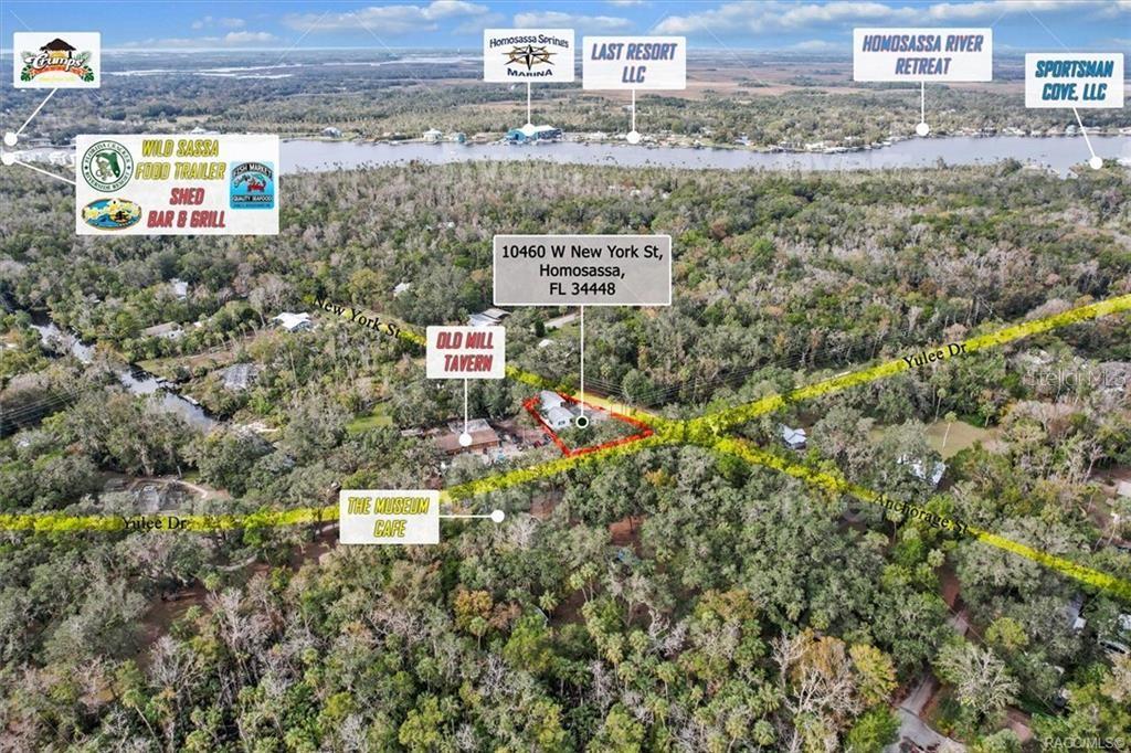 10460 W NEW YORK ST, HOMOSASSA, FL — photo 8