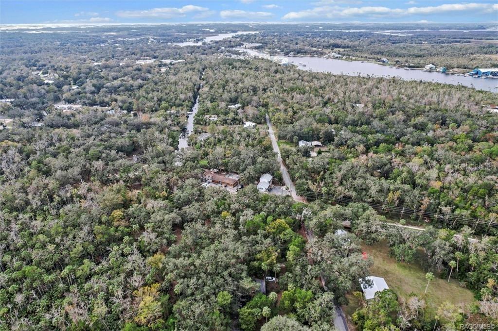 10460 W NEW YORK ST, HOMOSASSA, FL — photo 41
