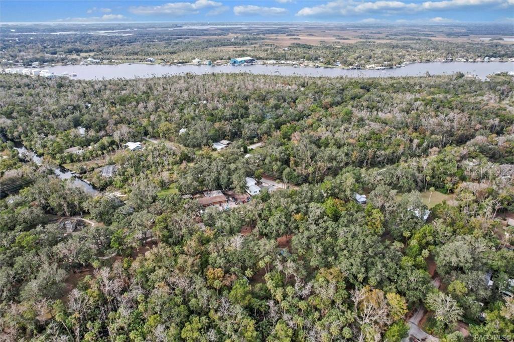 10460 W NEW YORK ST, HOMOSASSA, FL — photo 42