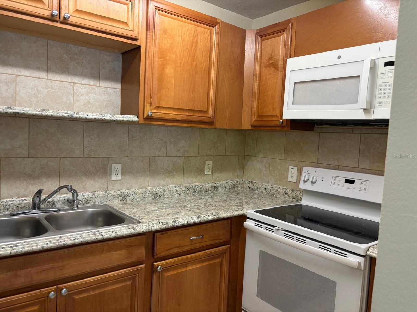 6747 RALSTON BEACH CIR, TAMPA, FL — photo 10