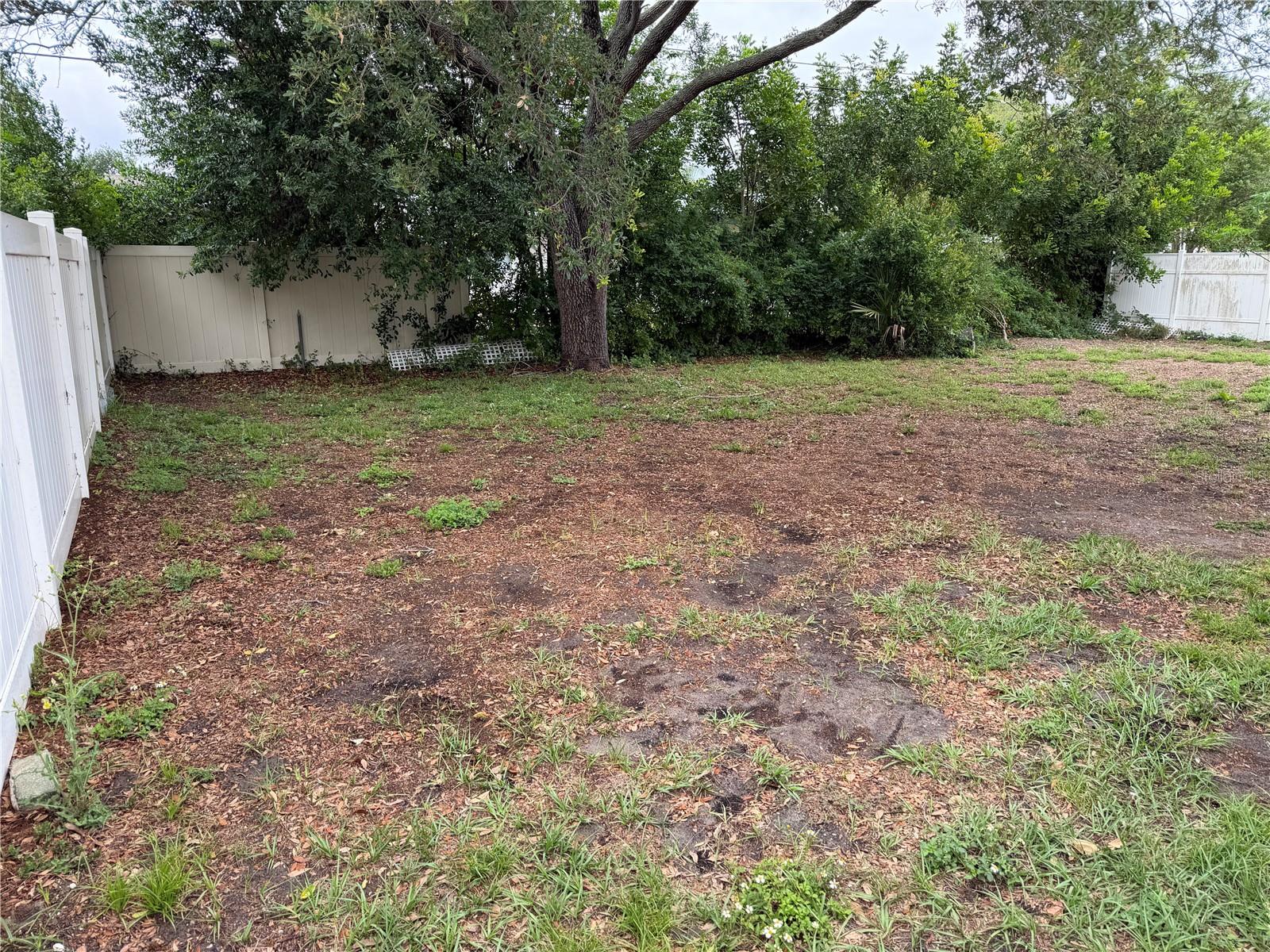 2236 MORNINGSIDE DR, CLEARWATER, FL — photo 5