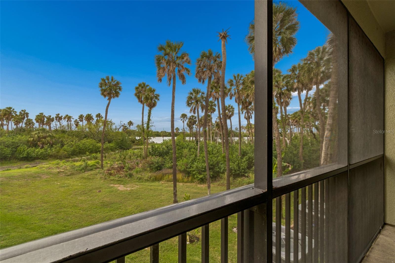 4706 TUSCAN LOON DR, TAMPA, FL — photo 45
