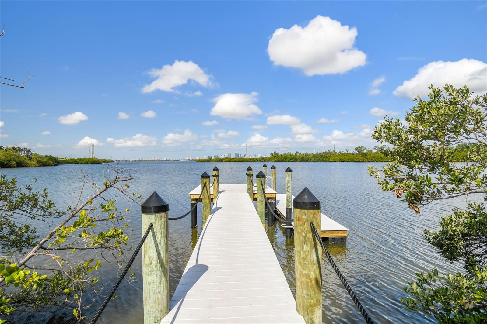 4706 TUSCAN LOON DR, TAMPA, FL — photo 53