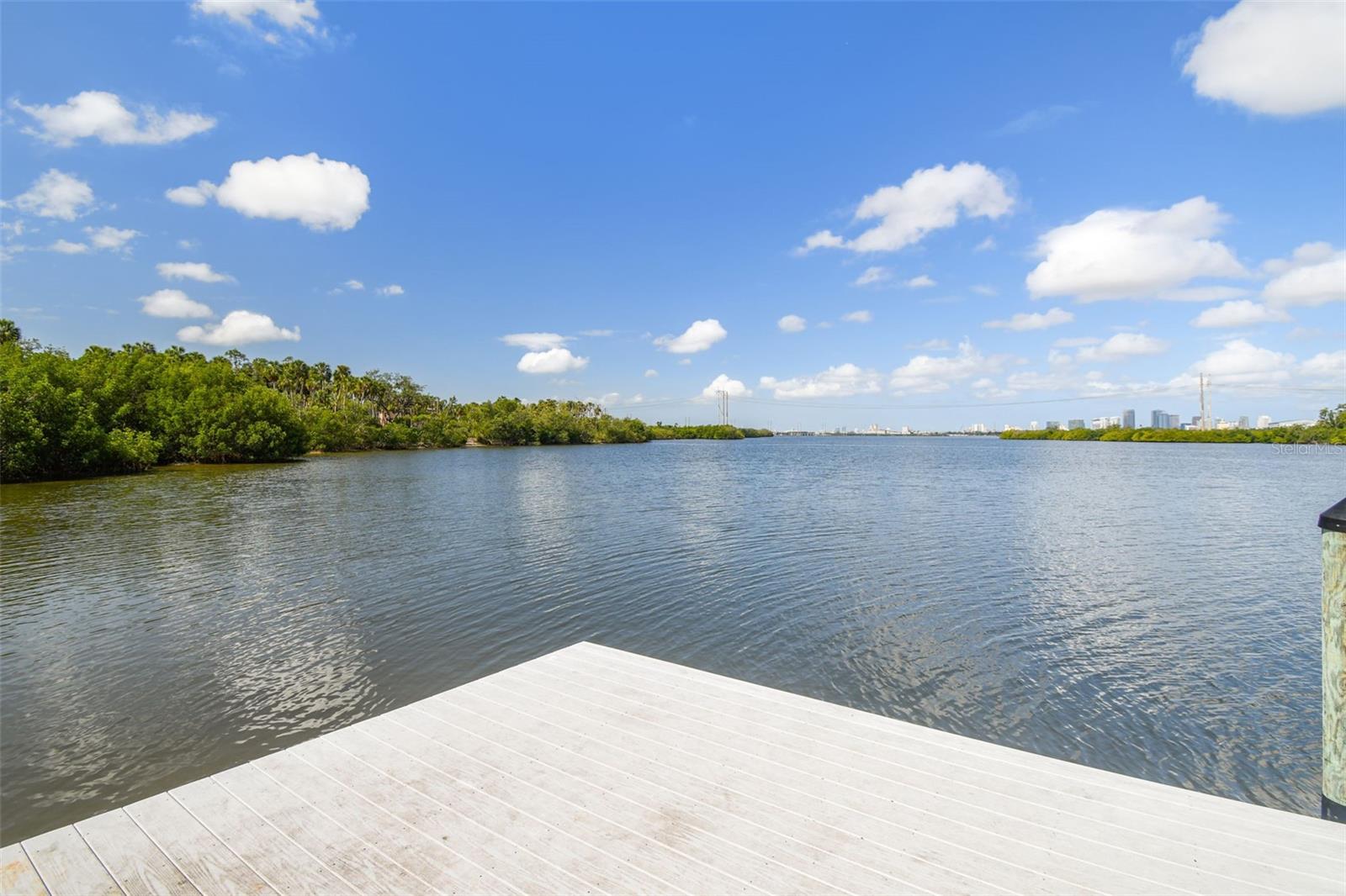 4706 TUSCAN LOON DR, TAMPA, FL — photo 54
