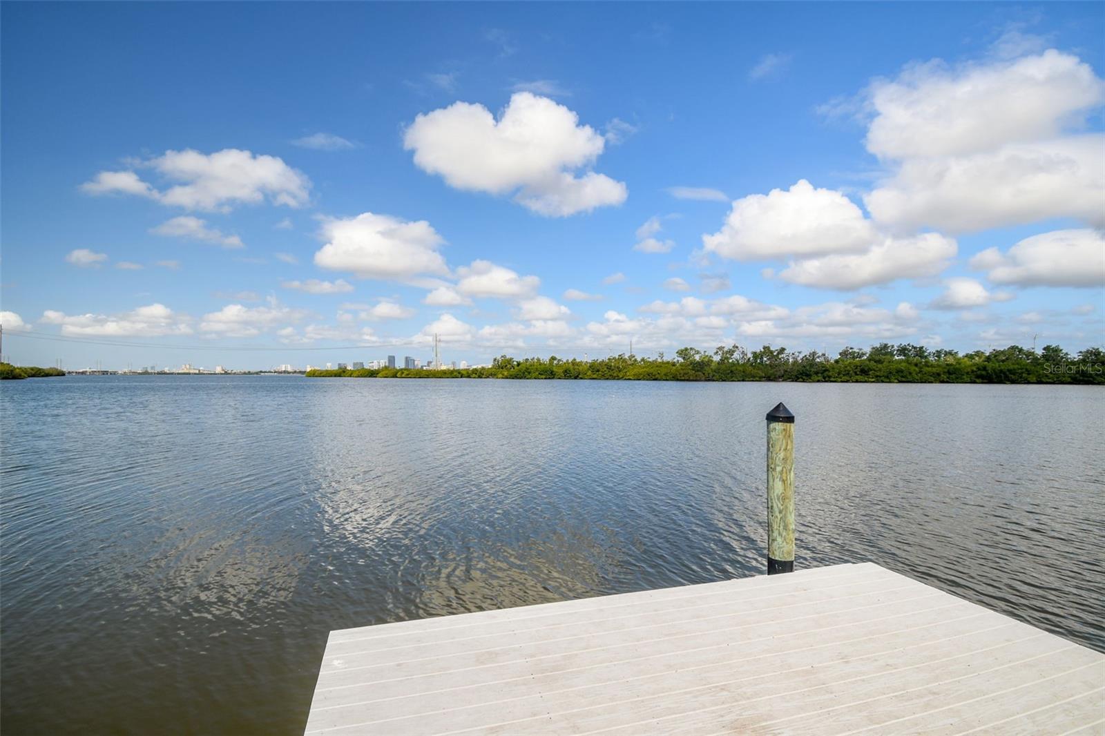4706 TUSCAN LOON DR, TAMPA, FL — photo 55