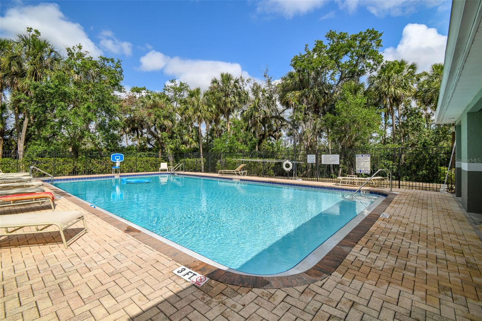 4706 TUSCAN LOON DR, TAMPA, FL — photo 51