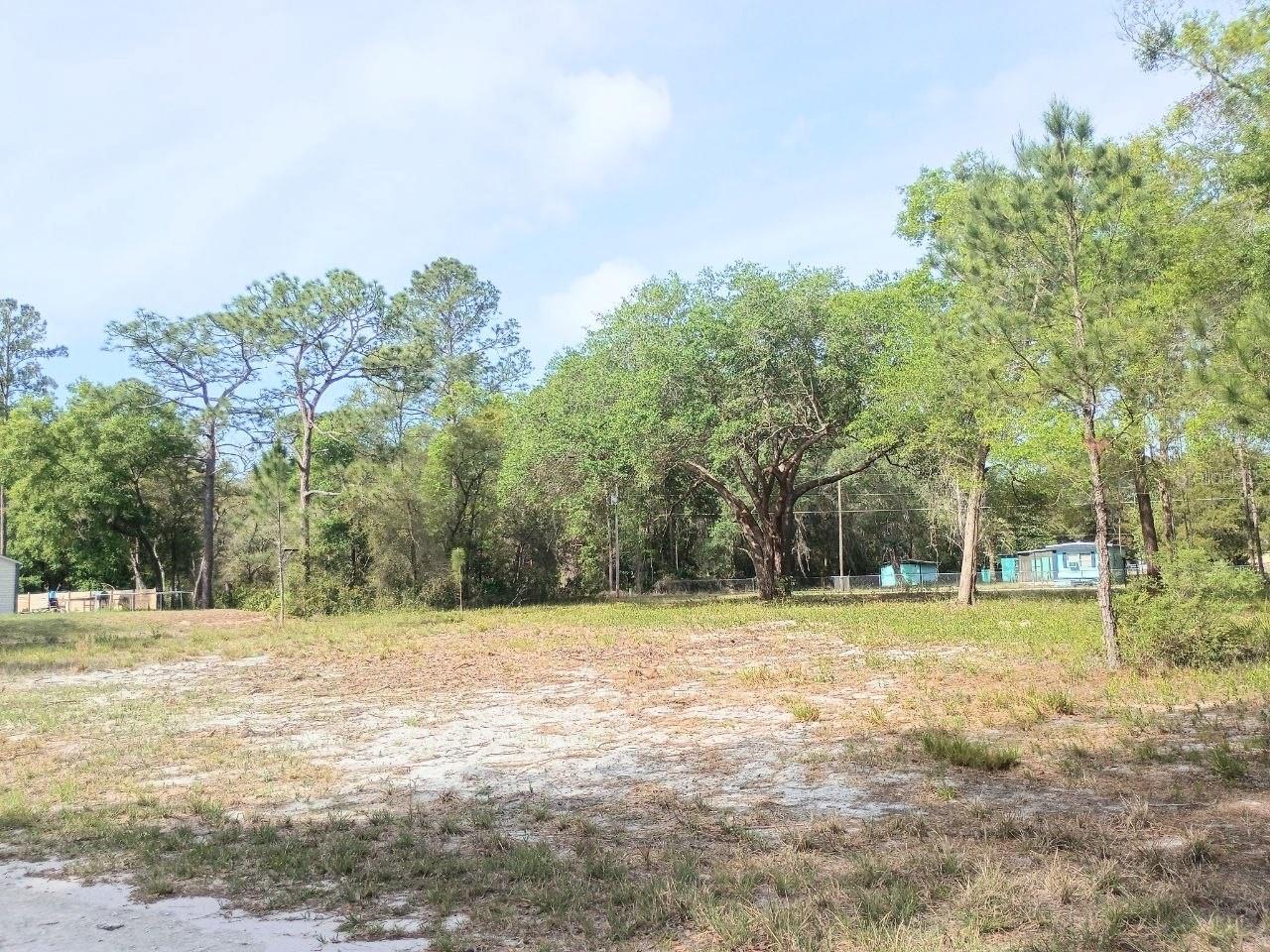 NE 141ST CT, FORT MC COY, FL — photo 2