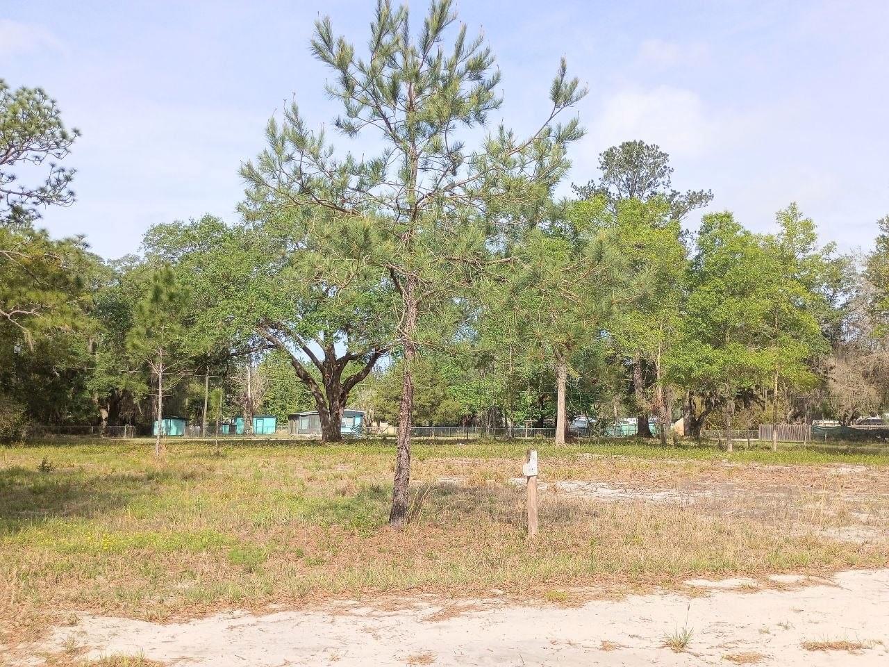 NE 141ST CT, FORT MC COY, FL — photo 3