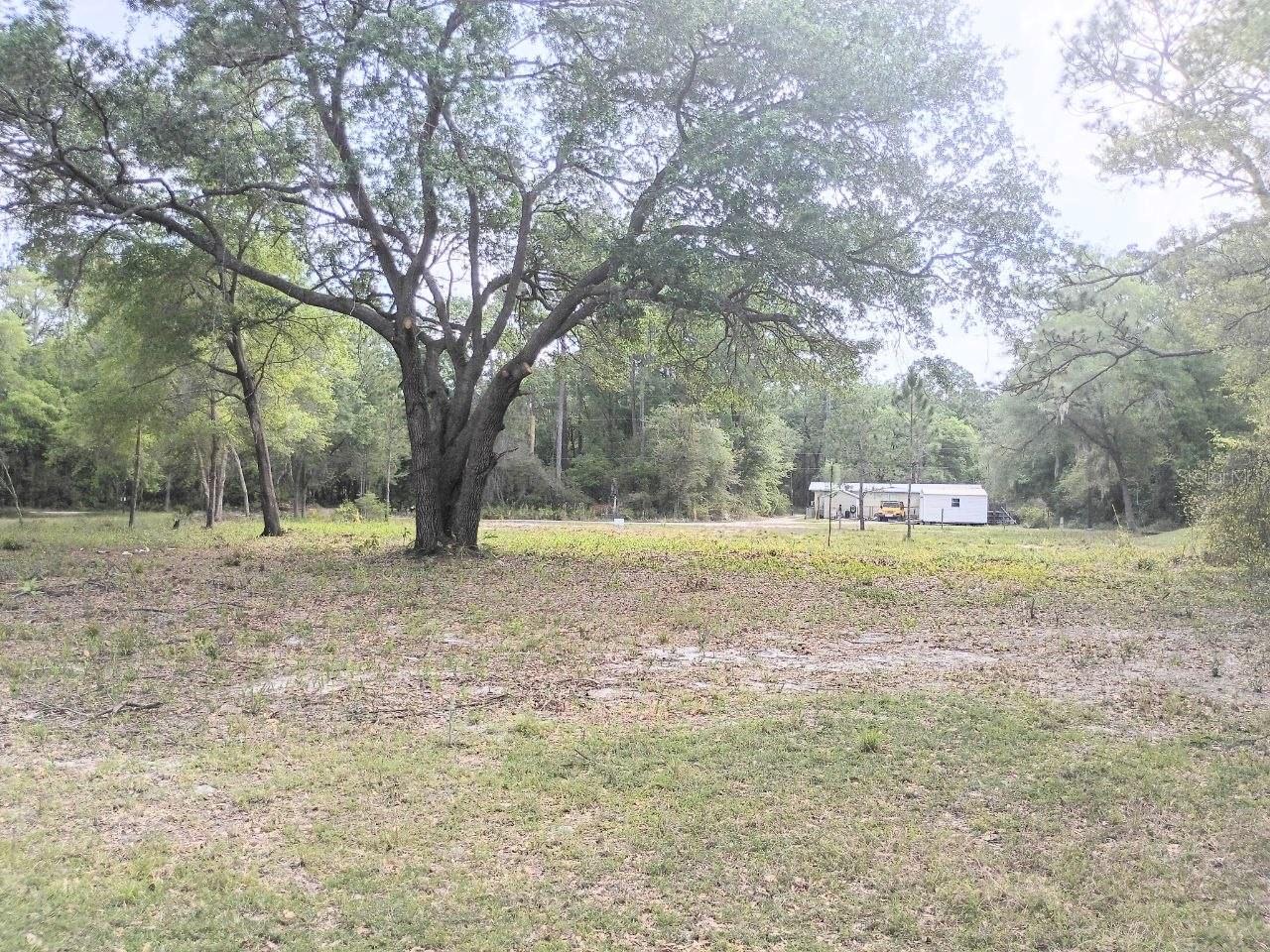 NE 141ST CT, FORT MC COY, FL — photo 4