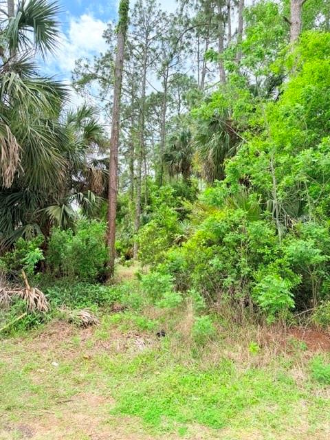 39 BRADDOCK LN, PALM COAST, FL — photo 2