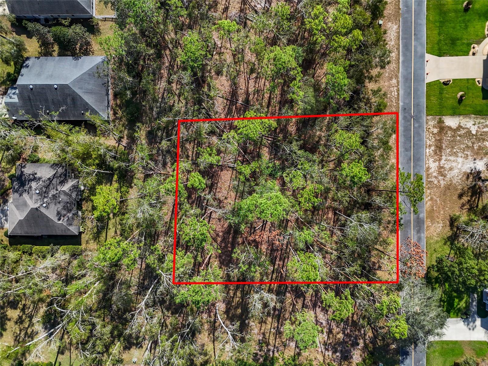 TBD WILDWOOD DR, LIVE OAK, FL — photo 4