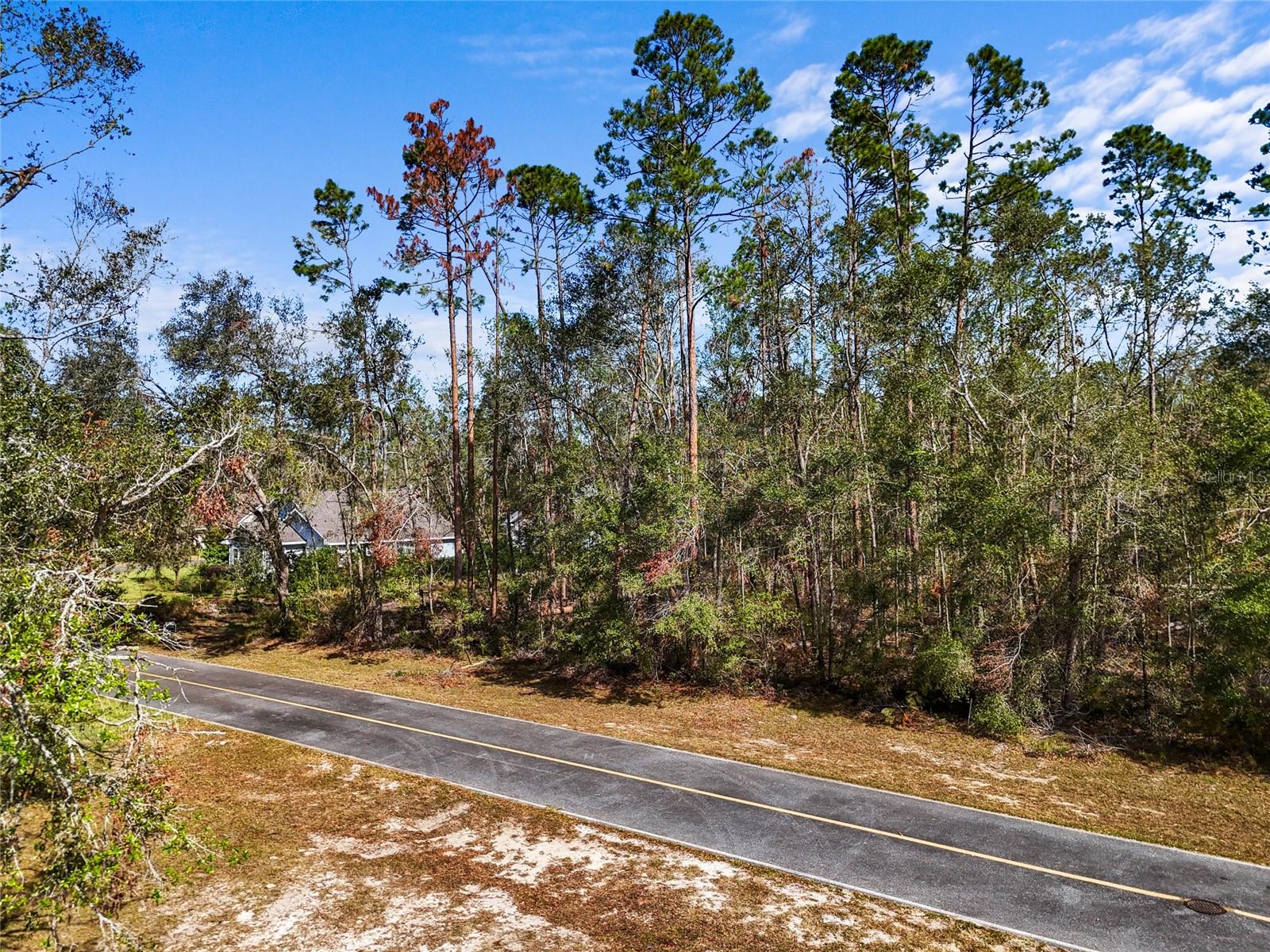 TBD WILDWOOD DR, LIVE OAK, FL — photo 6